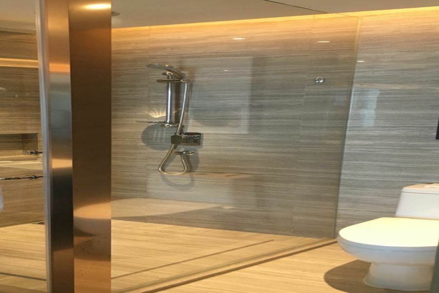 荆州绿地铂骊酒店 外观 照片